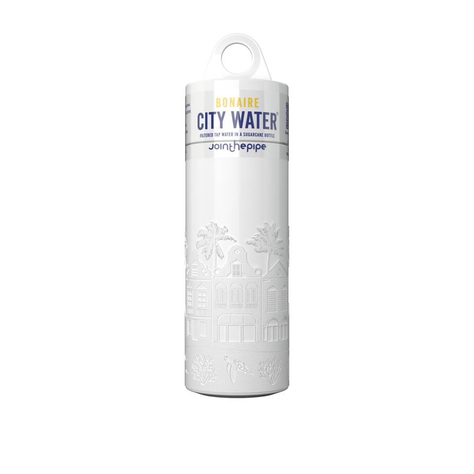 Maastricht City Water