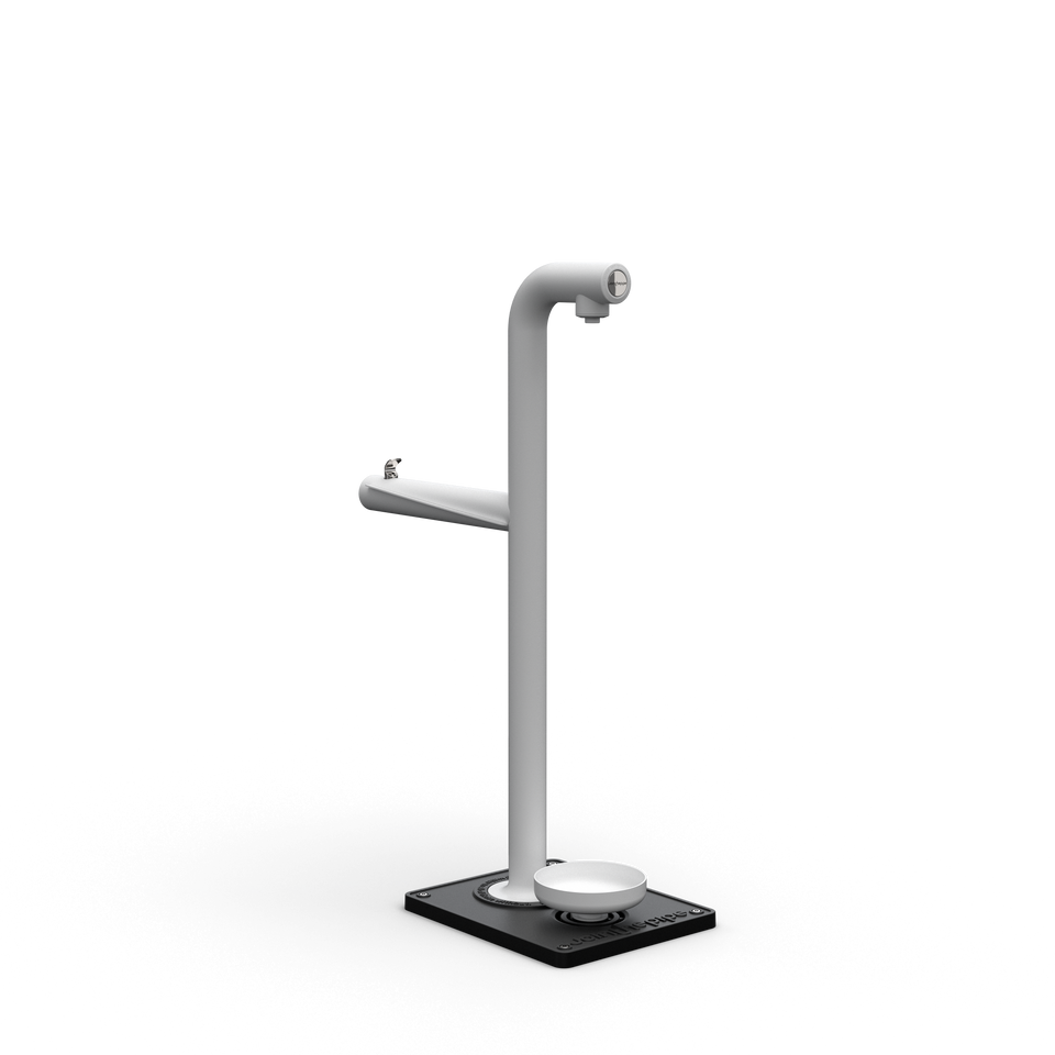 Park Tap Extended + Dog Bowl