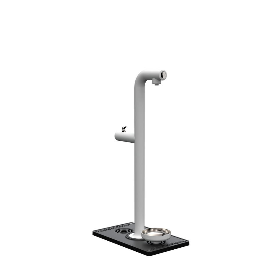 Park Tap + Dog Bowl