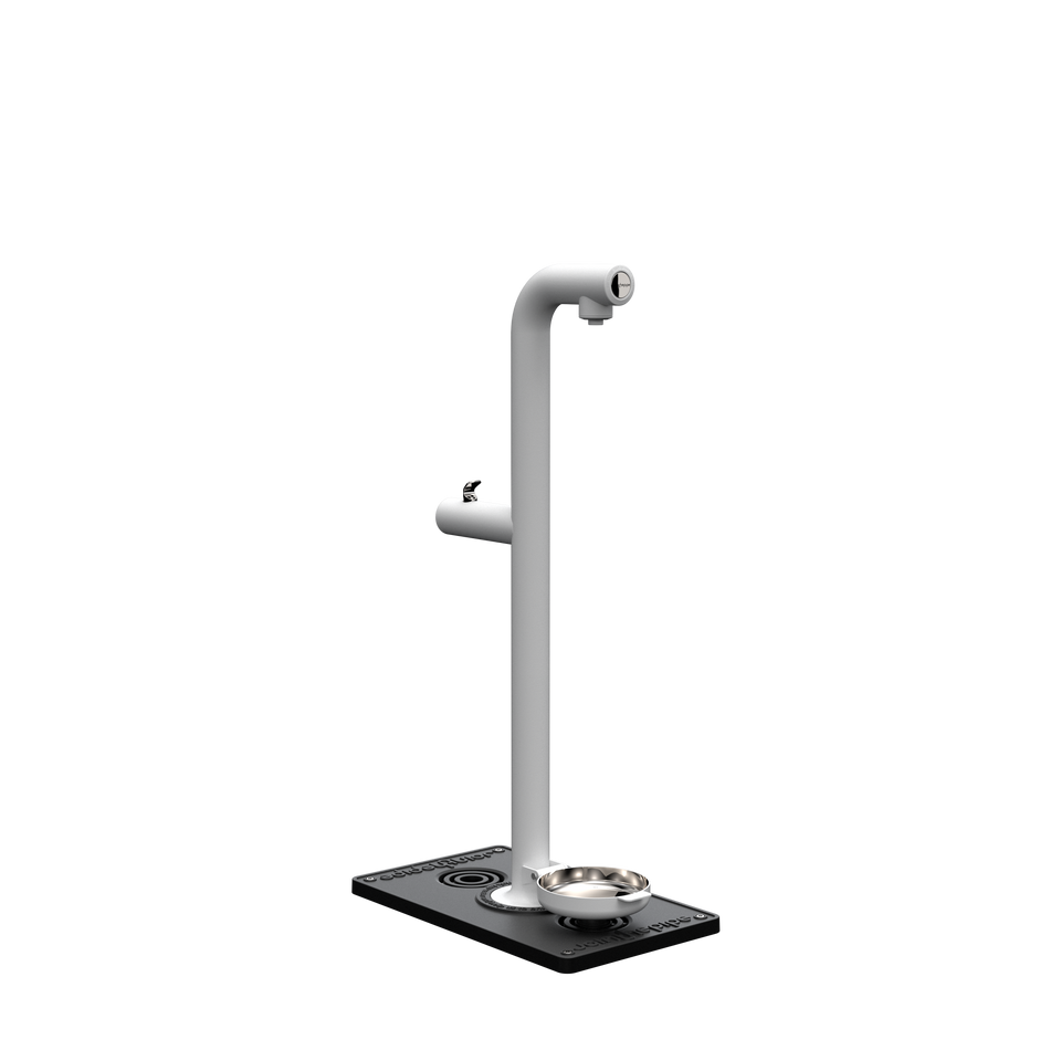 Park Tap + Dog Bowl