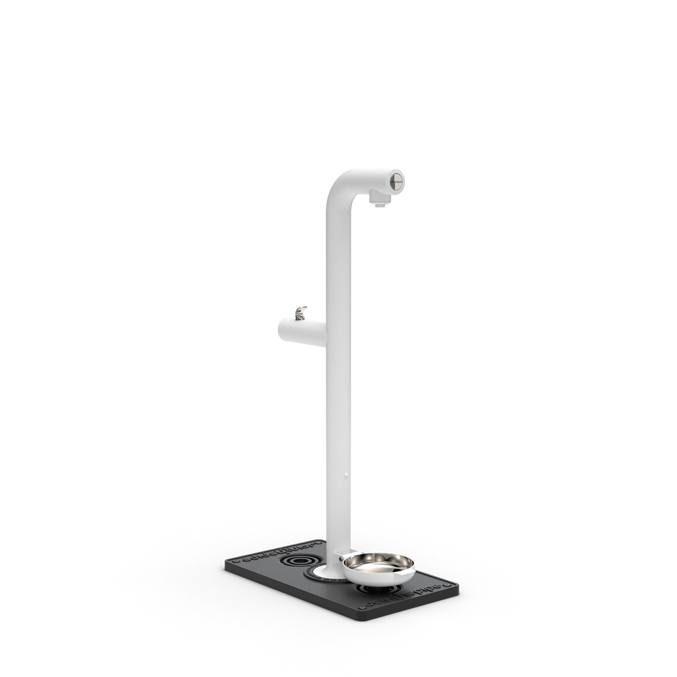 Park Tap + Dog Bowl