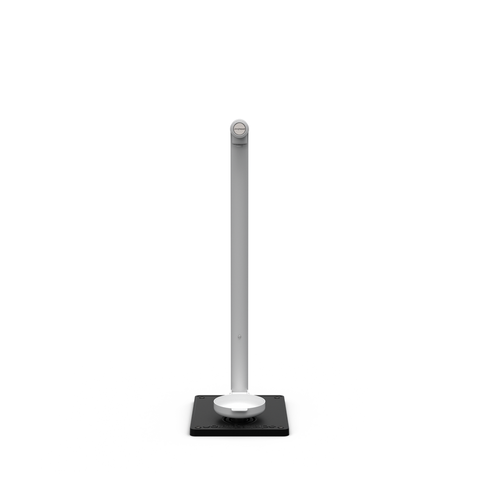 Street Tap with Dog Bowl