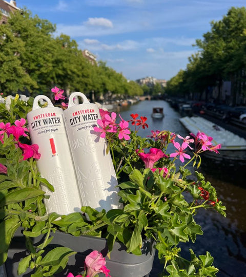 JOINTHEPIPE IN AMSTERDAM