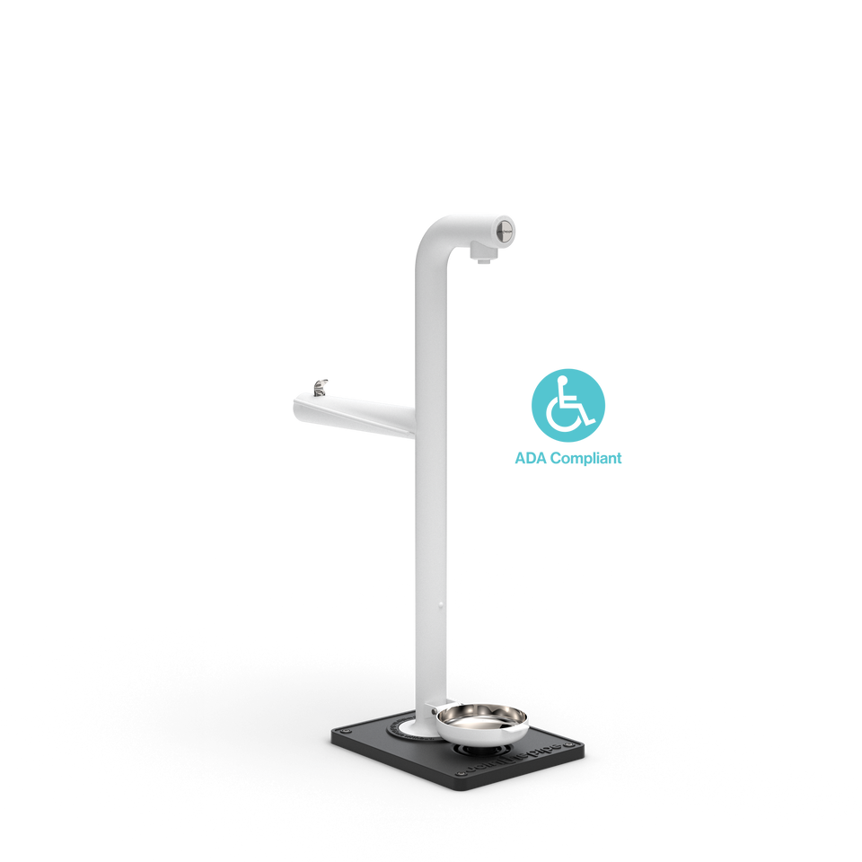 Park Tap Extended + Dog Bowl