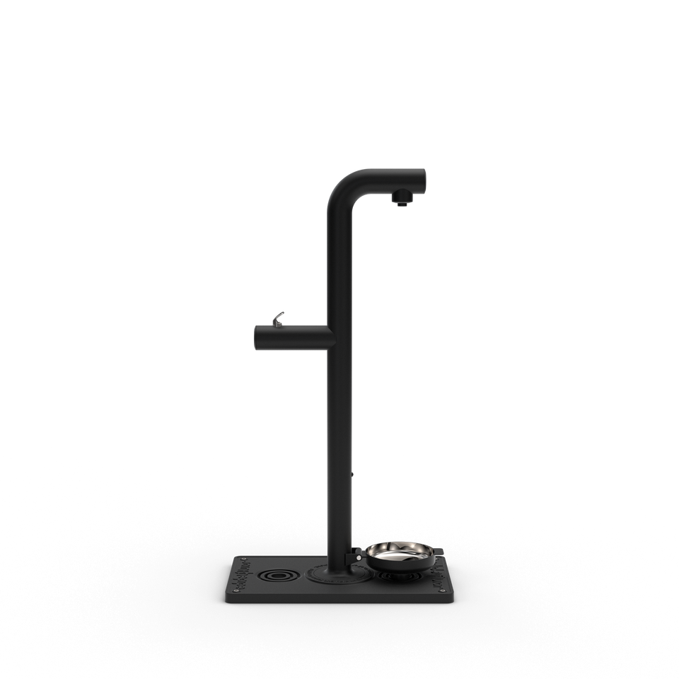 Park Tap + Dog Bowl